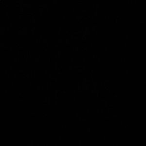 Meet your Posher, Mia